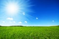 Fresh green grass with bright blue sky Royalty Free Stock Photo