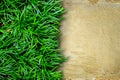 Fresh green grass and concrete Royalty Free Stock Photo