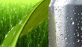 Fresh green grass, dew drops, and raindrops on a leaf generated by AI Royalty Free Stock Photo