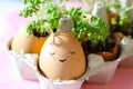 The fresh green grass growing in an egg shell with the funny persons drawn on it. The idea of spring creativity for