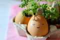 The fresh green grass growing in an egg shell with the funny persons drawn on it. The idea of spring creativity for