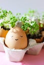 The fresh green grass growing in an egg shell with the funny persons drawn on it. The idea of spring creativity for