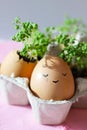 The fresh green grass growing in an egg shell with the funny persons drawn on it. The idea of spring creativity for