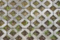 Fresh green grass growing through tiles outdoors, top view