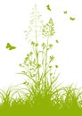 Fresh Green Grass with Herbage and Butterflies