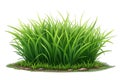 Fresh green grass isolated over a white background - mockup template - generated by ai Royalty Free Stock Photo