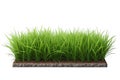 Fresh green grass isolated over a white background - mockup template - generated by ai Royalty Free Stock Photo