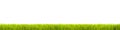Green grass: fresh green grass large panorama banner as frame border in a seamless empty white background Royalty Free Stock Photo