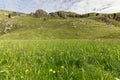 Fresh green grass and meadow flowers on a high plateau in the Italian Alps Royalty Free Stock Photo