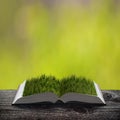 Fresh green grass on the pages of an open magical book