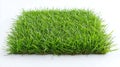 Fresh green grass patch with lush texture against a white backdrop Royalty Free Stock Photo