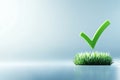 fresh green grass patch with vibrant checkmark symbolizing growth, nature, and positive change in the environment Royalty Free Stock Photo