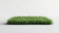 Fresh Green grass patch on White, evokes Nature Concept and Minimalism Royalty Free Stock Photo