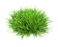 Fresh green grass piece of land isolated on white Royalty Free Stock Photo