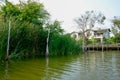 Fresh green grass in river in front of local houses at Thailand