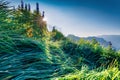 Fresh green grass on the slopes of Furchetta mountain.