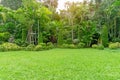 Fresh green grass smooth lawn as a carpet with curve form of bush, trees in a backyard, good maintenance landscapes