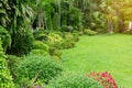 Fresh green grass smooth lawn as a carpet with curve form of bush, trees in a backyard, good maintenance lanscapes Royalty Free Stock Photo