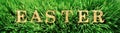 Green grass with the word Easter in bright gold letters