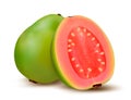 Fresh green Guava fruit.