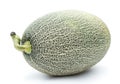 Fresh green hami melon on white Royalty Free Stock Photo