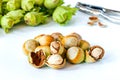 Fresh green hazelnuts cobnuts Royalty Free Stock Photo