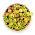 Fresh green hazelnuts with green leaves in wooden bowl isolated on white Royalty Free Stock Photo