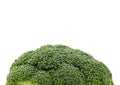 Fresh green head of calabrese broccoli Royalty Free Stock Photo