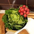 Green head salad and red radish Royalty Free Stock Photo