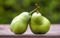 Fresh green healthy fruit pears, weight loss, diet