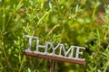 Fresh Green Herbal Thyme Leaves Royalty Free Stock Photo