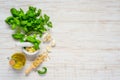 Fresh Green Herbs and Pine nuts with Copy Space Area Royalty Free Stock Photo