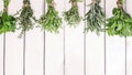 Fresh green herbs on white wooden table, top view Royalty Free Stock Photo