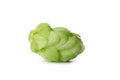 Fresh green hop isolated on white background Royalty Free Stock Photo