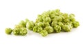 Fresh green hops Royalty Free Stock Photo