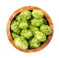 Fresh green hops branch in olive bowl, isolated on a white background. Hop cones with leaf. Organic Hop Flowers. Top Royalty Free Stock Photo