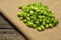 Fresh green hops on burlap background. Top view Royalty Free Stock Photo