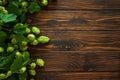 Fresh Green Hops on Dark Rustic Wooden Surface Royalty Free Stock Photo