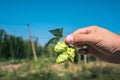 Fresh green hops in hand on a blue sky background. Close-up. Royalty Free Stock Photo