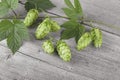Fresh green hops with leaves on wooden table. Concept of beer production. Brewing. Beer ingredients Royalty Free Stock Photo