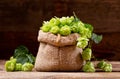 Fresh green hops in sack Royalty Free Stock Photo