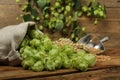 Fresh green hops, wheat grains and spikes on wooden table Royalty Free Stock Photo