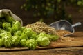 Fresh green hops, wheat grains and spikes on wooden table, closeup. Space for text Royalty Free Stock Photo