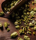 Fresh green hops on wooden table Royalty Free Stock Photo