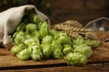 Fresh green hops on wooden table, closeup Royalty Free Stock Photo