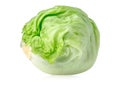 Green Iceberg lettuce cabbage on white background with clipping path Royalty Free Stock Photo