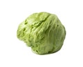 Fresh green iceberg lettuce isolated on a white background. Fresh iceberg isolate Royalty Free Stock Photo