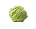 Fresh green iceberg lettuce isolated on a white background. Fresh iceberg isolate Royalty Free Stock Photo