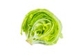 Fresh green iceberg lettuce salad leaves cut isolated on white background. Royalty Free Stock Photo