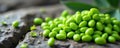 Fresh green jojoba seeds on a rocky background, green, texture Royalty Free Stock Photo